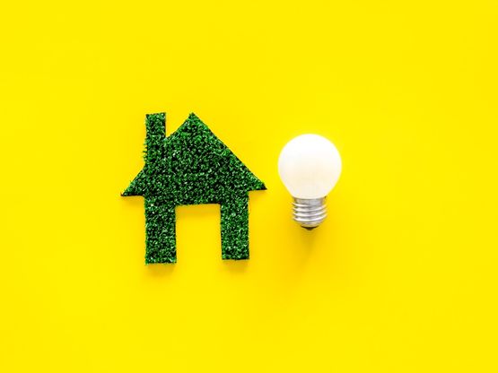 imagen sostenibilidad con casa verde y bombilla